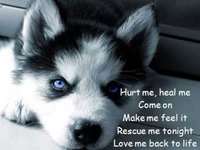 pochette album Love me back to life