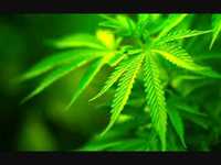 pochette album Blaze it