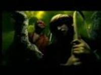 pochette album Frontline warrior