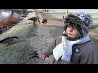 pochette album That little boy of mine