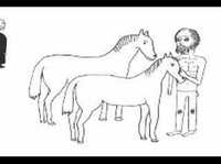 pochette album Agnes, queen of sorrow