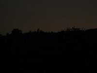 pochette album Black