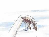 pochette album Goat and ram