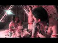 pochette album Quail and dumplings