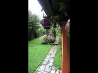 pochette album This is my cocktail