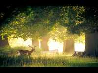 pochette album You don't love me