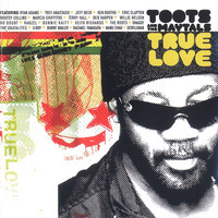 pochette album True love is hard to find