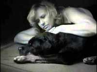 pochette album Wild for you baby