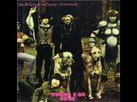 pochette album Beautiful zelda