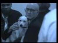 pochette album If you want it, take it