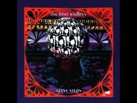 pochette album The white noise revisited