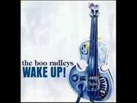 pochette album Wilder