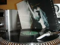 pochette album Never bite the hand that feeds