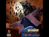 pochette album Lady in the jaguar