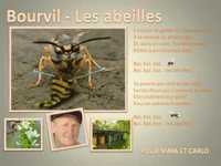 pochette album Les abeilles