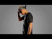 pochette album I'ma beast