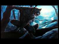 pochette album Lil red riding hood