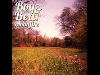 pochette album The village