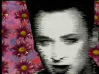 pochette album No clause 28