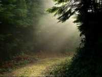 pochette album Al final del camino