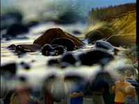 pochette album Welcome to my country