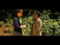 pochette album Beatific vision