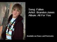 pochette album Fallen