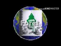 pochette album Intro (anomalie)