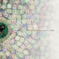 pochette album The new sound