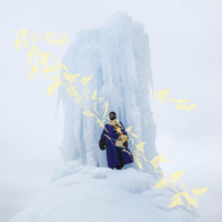 pochette album Own stunts