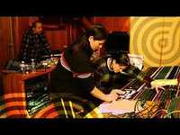 pochette album Freed pig