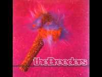 pochette album Hoverin'