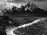 pochette album Night of joy