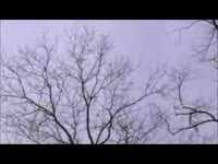 pochette album Spark