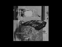 pochette album The she