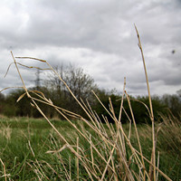 pochette album A different place