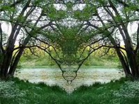 pochette album How many worlds