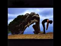 pochette album Wilderness