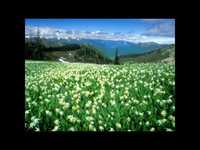 pochette album Country feelin'