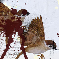 pochette album Rawwwrr!