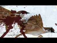 pochette album Shed light