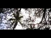 pochette album Sliding