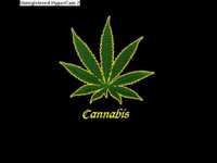 pochette album Black market