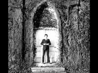 pochette album Wild kisses