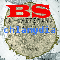 pochette album Cougar