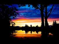 pochette album Firewater