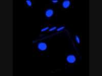 pochette album Ain't life grand