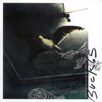 pochette album Surrender to strangeness