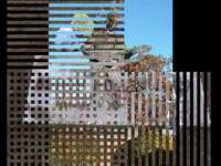 pochette album I'm gonna set my foot right down