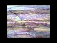 pochette album Cortez the killer